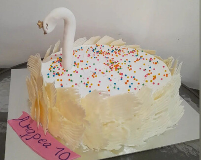 Роденденска торта за девојчиња